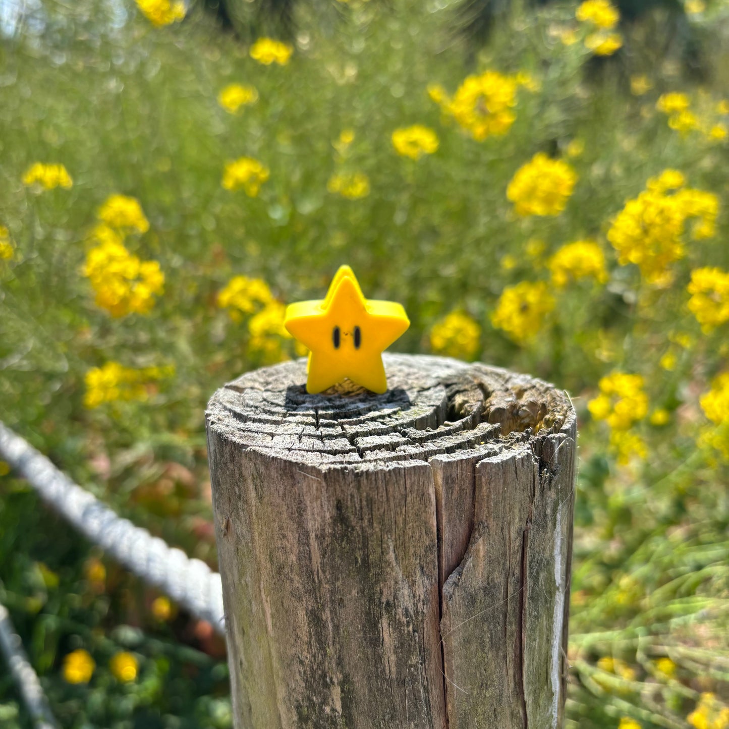 Magic star straw topper