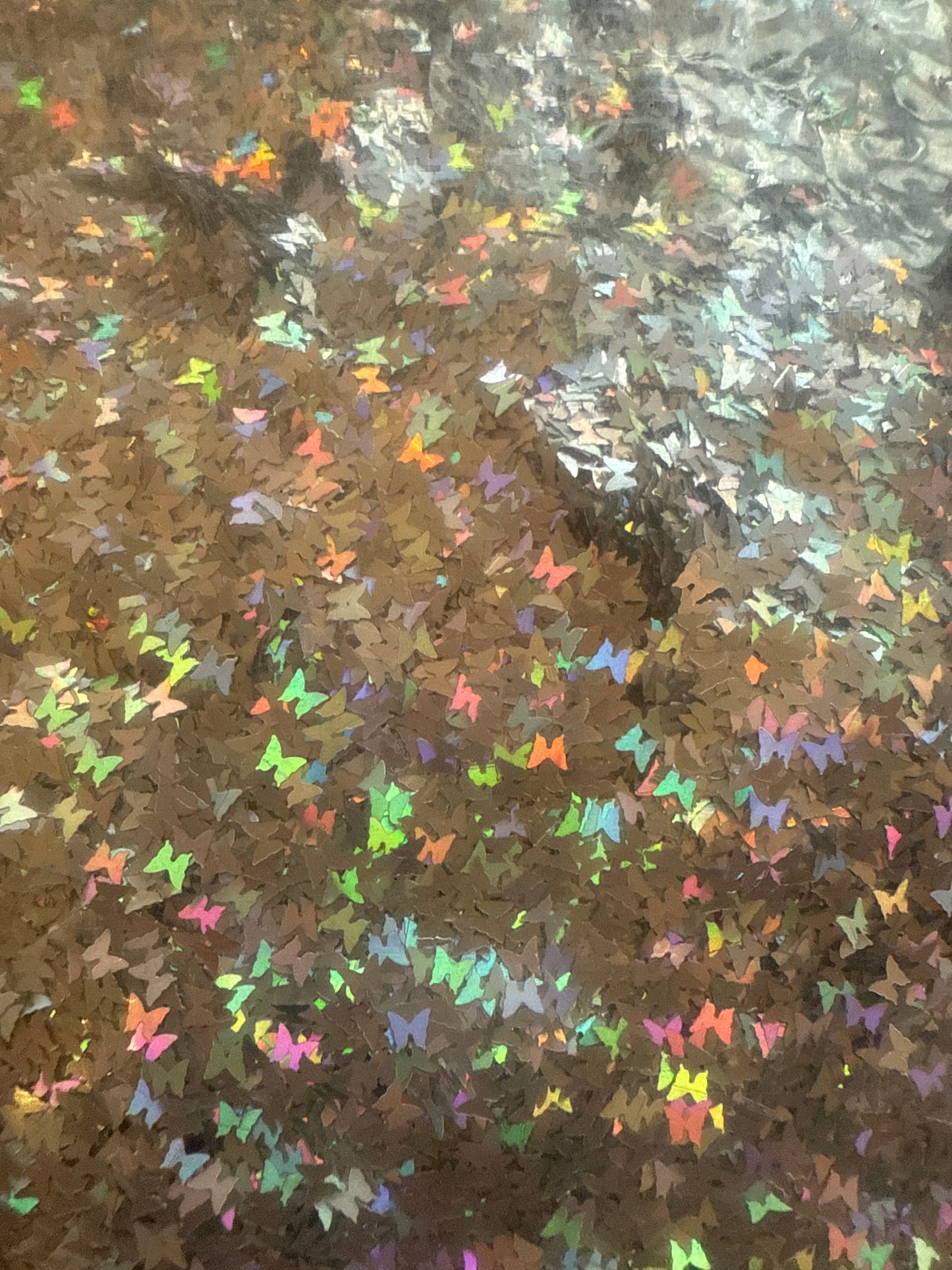 Holo butterfly’s