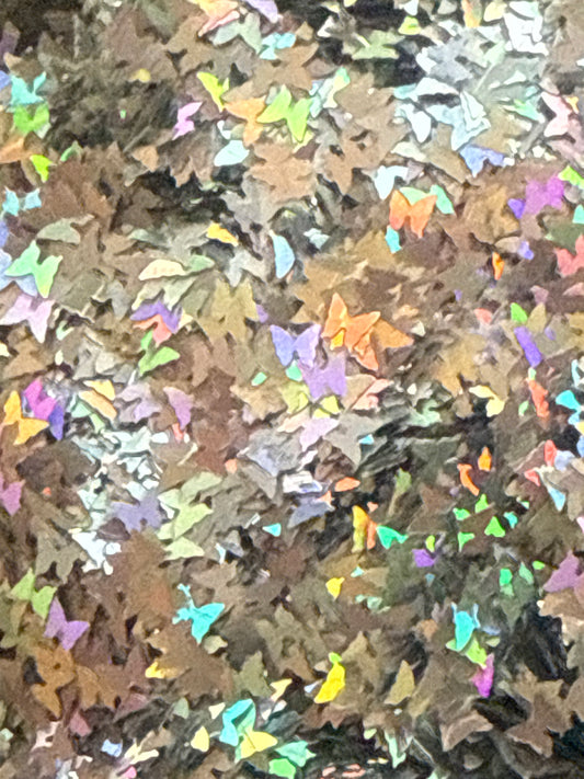 Holo butterfly’s